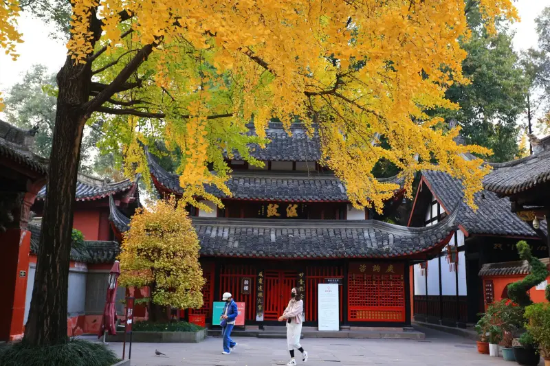 婚礼花艺设计趋势分析：从空间布置到色彩搭配