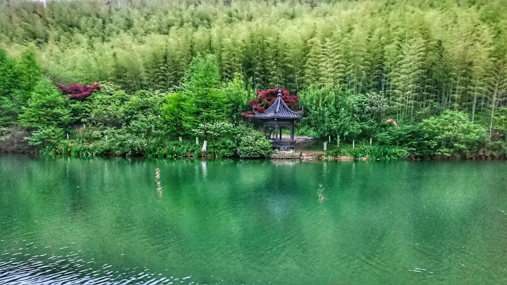 花束定制与婚礼花艺设计方案：江北区行走鲜花坊应用案例解析