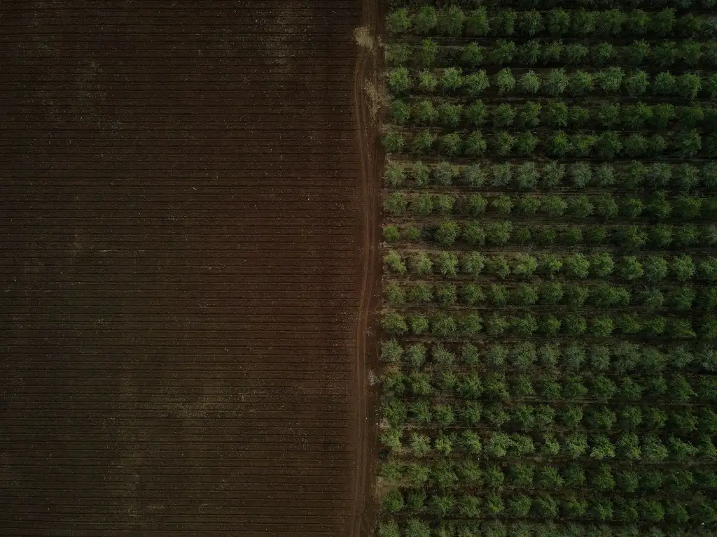 花束定制花材保鲜技术要点与配送质量控制方案