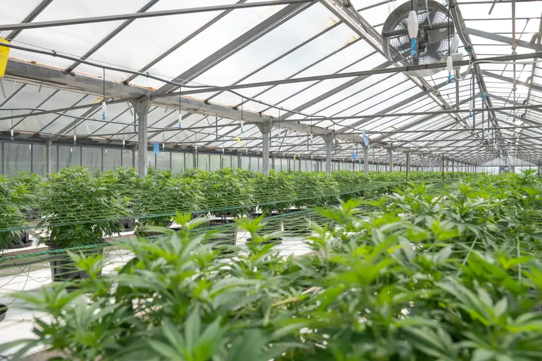 江北区行走鲜花店花束定制：花材选配与设计参数对比分析